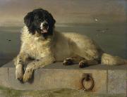 Sir edwin henry landseer,R.A. A Distinguished Member of the Humane Society Sweden oil painting artist